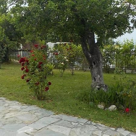 Katerina'S Holiday Home Kriopigi Exterior photo